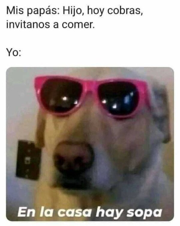 Meme_otros - ¿Acaso vosotros no tenéis comida?