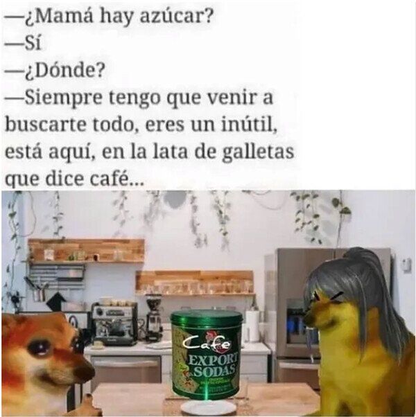 Otros - ¿Cómo no pude saberlo?