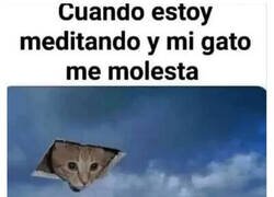 Enlace a Me rompe el relax