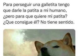 Enlace a Perro reflexivo
