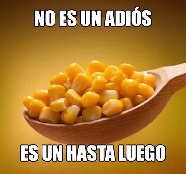 Meme_otros - Quién entendió, entendió