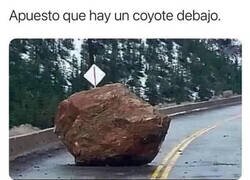 Enlace a No tengo pruebas, pero tampoco dudas