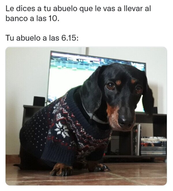 Meme_otros - El más madrugador