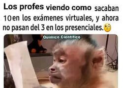 Enlace a Aquí hay gato encerrado...