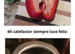 Enlace a Ejemplos claros de Pareidolia