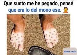 Enlace a Sustos que dan gusto