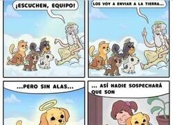 Enlace a Hay casos y casos