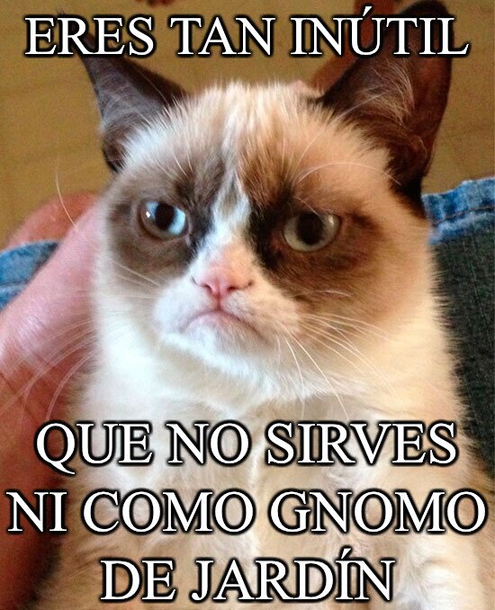 gnomo,jardín,inútil,grumpy cat