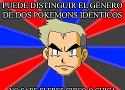 Enlace a Puede distinguir el género de dos pokemons idénticos