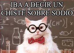 Enlace a Iba a decir un chiste sobre sodio