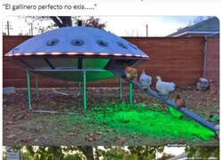 Enlace a Quisiera tener gallinas solo para meterlas ahí