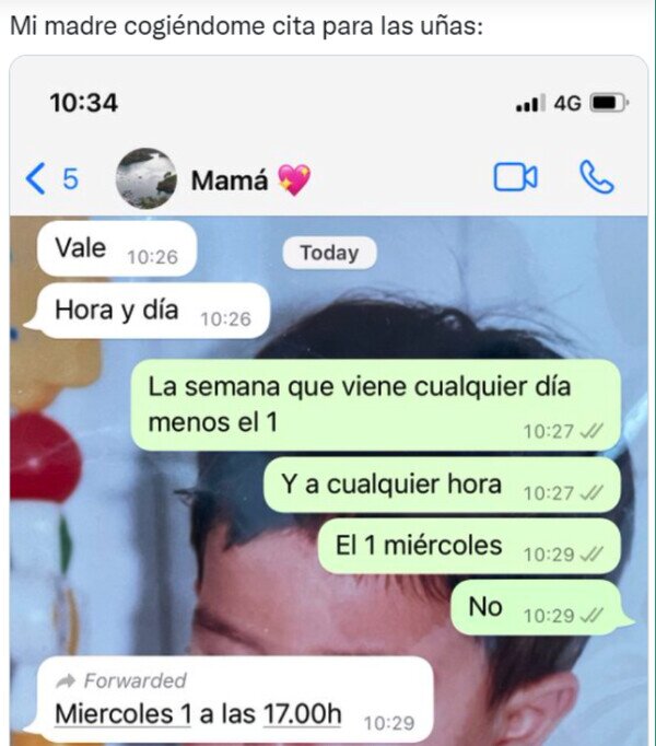 Meme_otros - Mamá, ¿qué es lo que no has entendido?