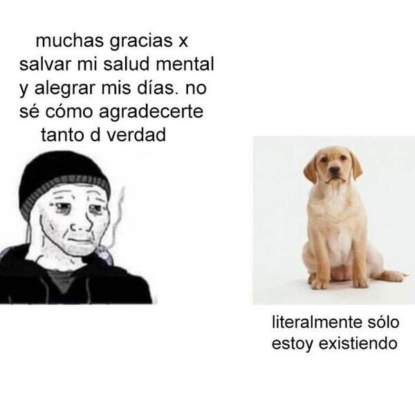 Meme_otros - Su mera existencia es fundamental para mí