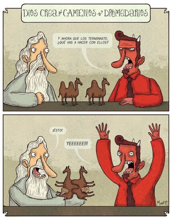 Meme_otros - Camellos y dromedarios