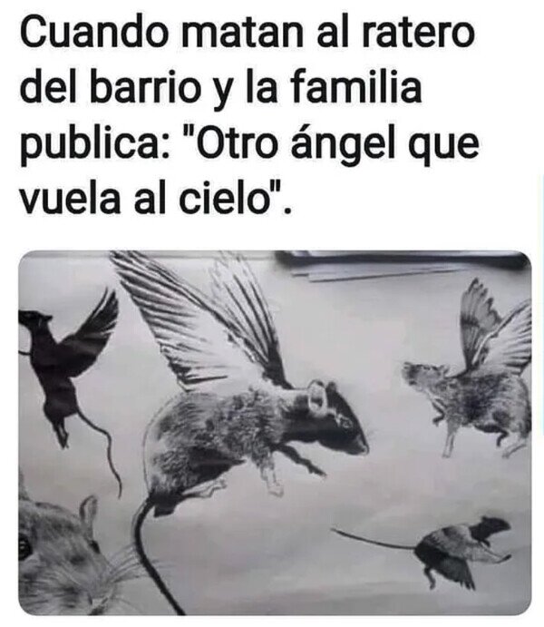 Meme_otros - ¿Por qué cuando morimos pasamos a ser bellísimas personas?