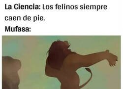 Enlace a Disney nos debe una explicación