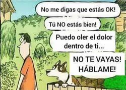 Enlace a Cuidado con el perro