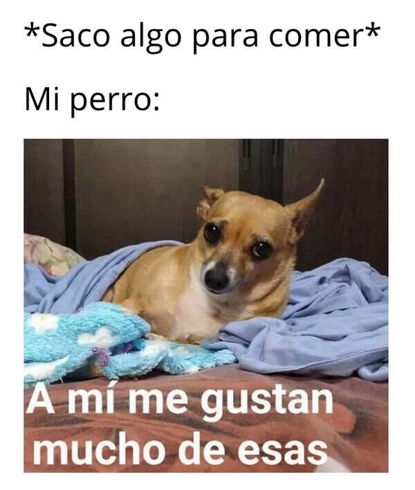 Meme_otros - Siempre le gusta todo