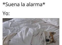 Enlace a Cada mañana el mismo dilema