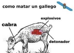 Enlace a No intentes hacerlo en casa