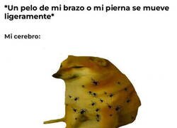 Enlace a Me comen los bichos