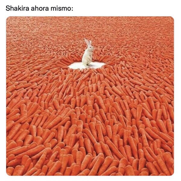 Otros - No le faltarán pretendientes