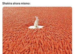 Enlace a No le faltarán pretendientes