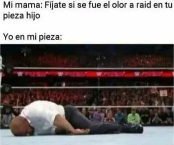 Otros - Mata a mosquitos y me mata a mí