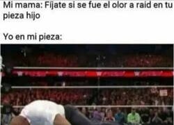 Enlace a Mata a mosquitos y me mata a mí