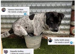 Enlace a La tiene y no la hace ni caso