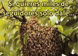 Enlace a Te seguirán miles al instante