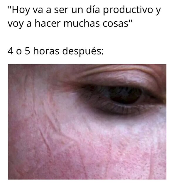 Meme_otros - Siesta de campeonato