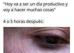 Enlace a Siesta de campeonato