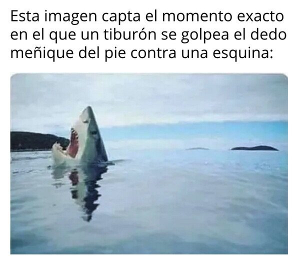 Otros - La naturaleza no deja de sorprendernos