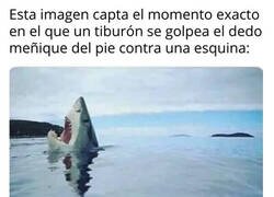 Enlace a La naturaleza no deja de sorprendernos