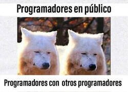 Enlace a Entre ellos se llevan bien