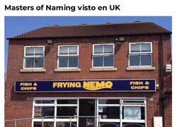 Enlace a Friendo a Nemo