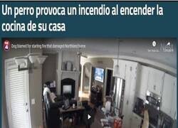 Enlace a El perro pirómano