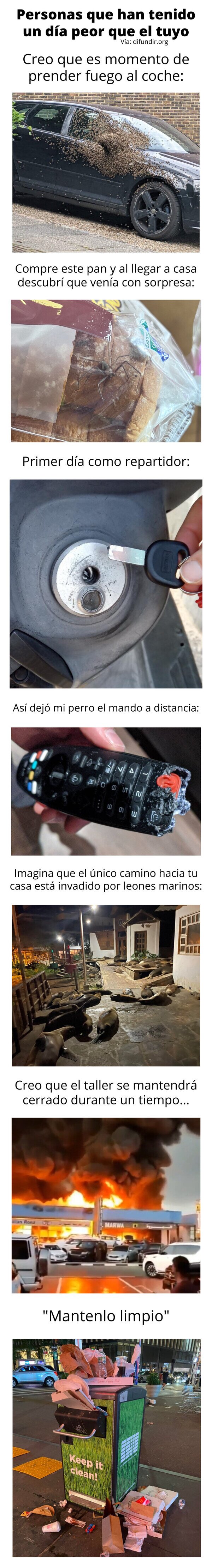Meme_otros - Personas que han tenido un día peor que el tuyo