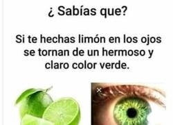 Enlace a Un buen truco