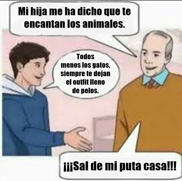 Meme_otros - Mi semana temática de gatos