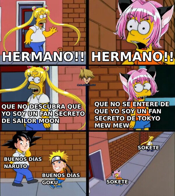 Meme_otros - Nosotros los machos alfas también vemos animes de magical girls