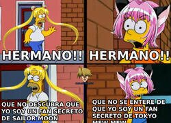 Enlace a Nosotros los machos alfas también vemos animes de magical girls