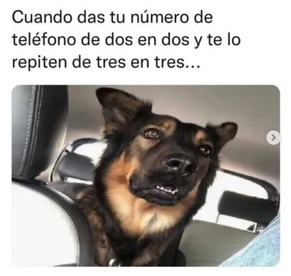 Otros - ¿Ese es mi número?