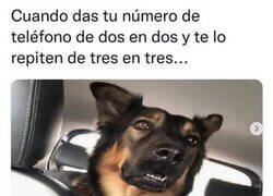 Enlace a ¿Ese es mi número?