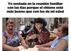 Enlace a Buscando el mejor chisme