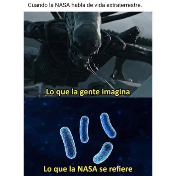 Meme_otros - No son más que micro organismos