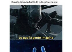 Enlace a No son más que micro organismos