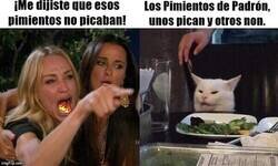 Enlace a Se la jugó...