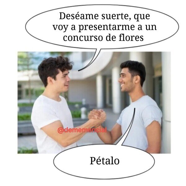 Otros - Concurso de flores